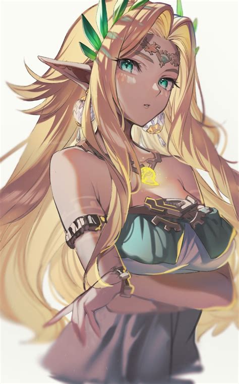 sonia (the legend of zelda and 1 more) drawn by shuri_(84k) | Danbooru