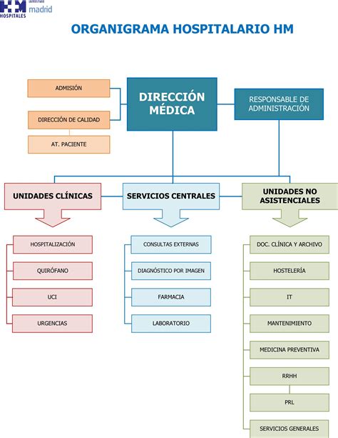 Organigrama en un hospital - Brainly.lat