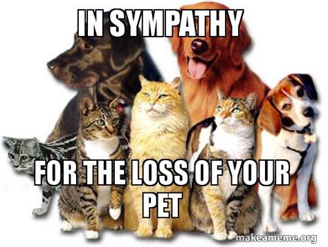 in sympathy for the loss of your pet | Make a Meme