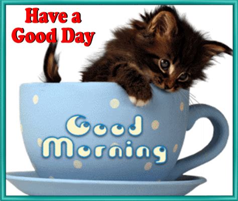 Kitty Says Good Morning. Free Good Morning eCards, Greeting Cards | 123 Greetings