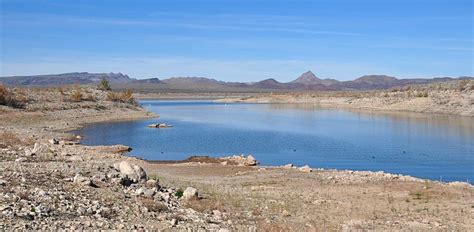 10 Reasons You Should Visit Alamo Lake State Park