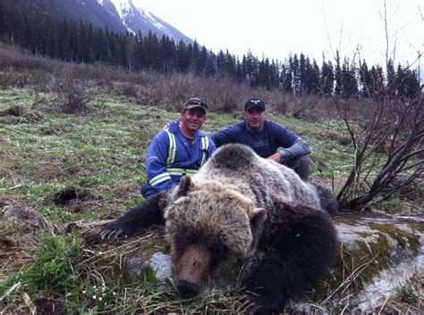 Grizzly Bear Hunting, British Columbia | Covert Outfitting