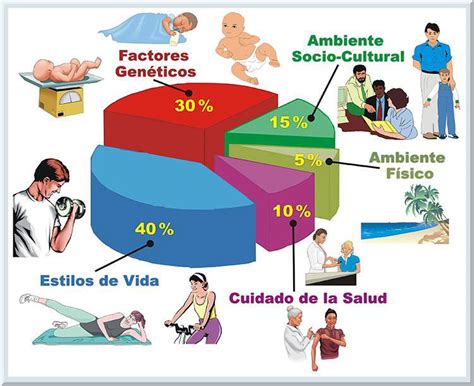 Determinantes Sociales Salud Y Sociedad 29640 | The Best Porn Website