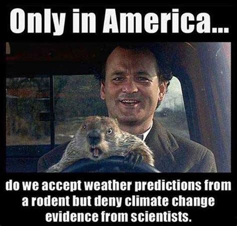 Only in America do we accept weather predictions from a rodent but deny ...