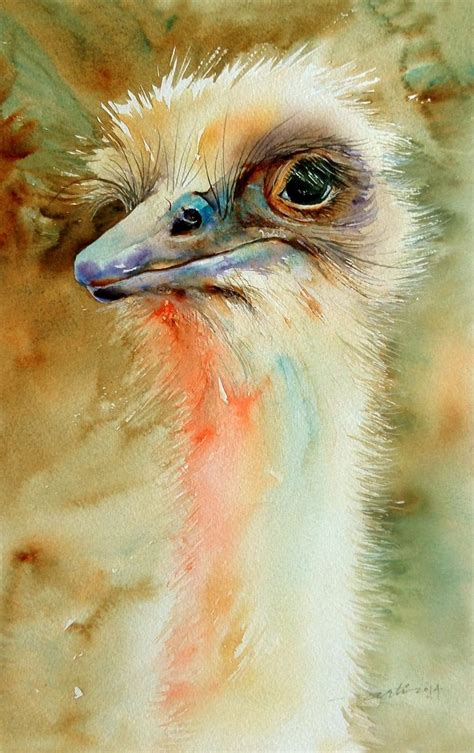 114 best Ostrich Art images on Pinterest | Acrylic paintings, Emu and Ostriches