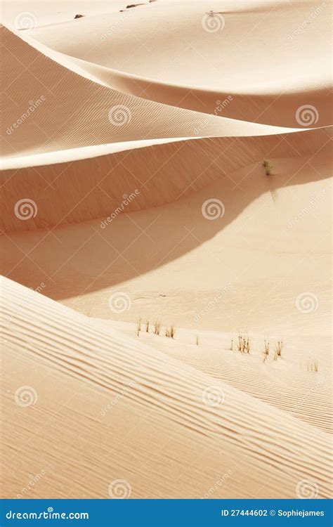 Rolling Sand Dunes of the Arabian Desert Stock Photo - Image of natural, orange: 27444602