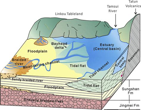 Conceptual 3D diagram illustrating the sedimentary environments in the ...