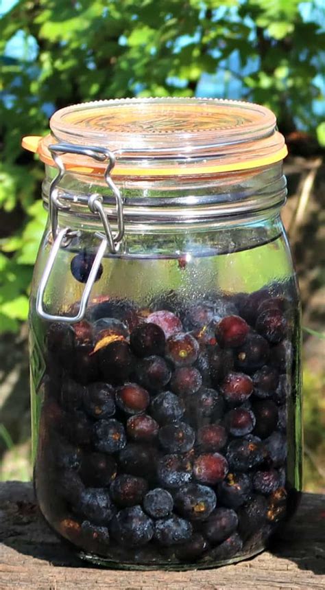 Making Sloe Gin – Best Sloe Gin Recipe Ever • Craft Invaders | Gin recipes, Sloe gin recipe ...