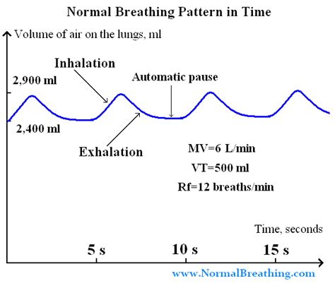 Normal Respiratory Frequency & Volume