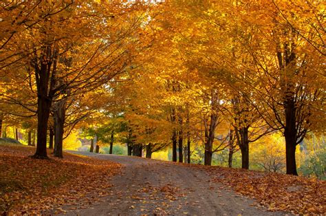 Stowe, Vermont Foliage Facts—Fall Foliage FAQs | Go Stowe