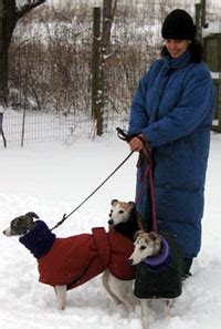 Snow Angel: The World's Warmest Winter Dog Coat | Blue Willow Dog Coats