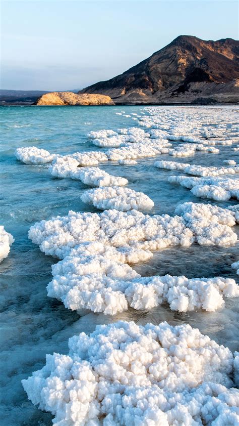 Salt crystals emerging from the water with mountains in the background, Lake Assal, Djibouti ...