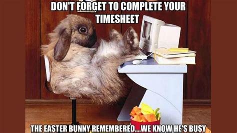 50+ Funny Easter Bunny Memes 2024 To Make Anyone Hop with Laughter