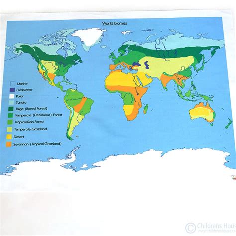 Biomes Map For Kids