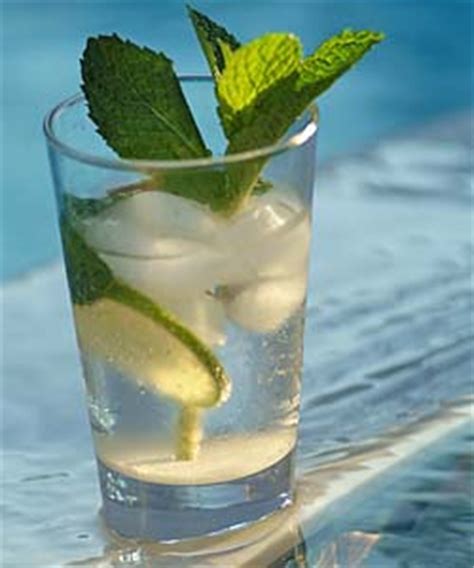 a Mojito - Cuban Rum Cocktail - Simple, Easy-to-Make Cuban, Spanish ...