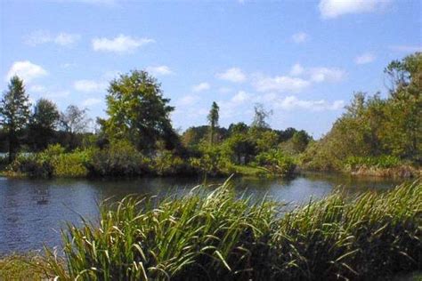 Lake Alice - Architecture of the University of Florida (Gainesville, Florida)