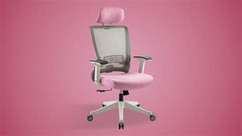 Ergonomic Chairs | A Guide to Choosing Chairs for Different Users