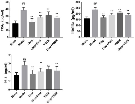 Platelet activation markers. Note: Compared with Sham group, P ## | Download Scientific Diagram