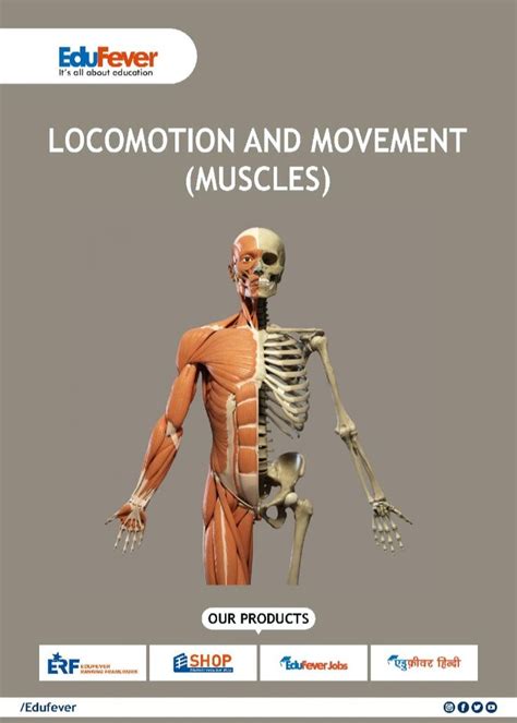 Locomotion and Movement (Muscles)-Revision Notes | Revision notes, Biology revision, Neet notes