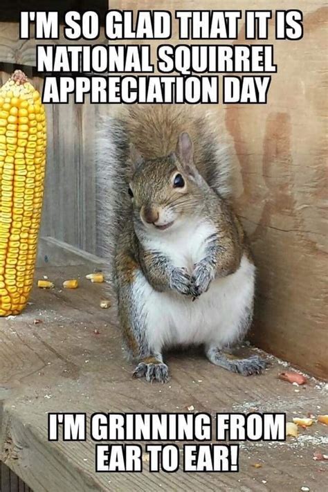 Pin by Charlene Smith on Squirrels | Squirrel appreciation day, Squirrel, Pets