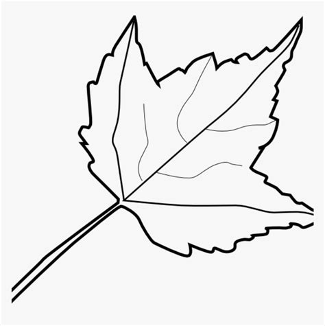 Leaf Outline Images Maple Leaf Outline Clip Art At - Leaf Clipart Black And White, HD Png ...