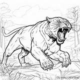 Black Panther Animal Coloring Pages  Free & Printable sketch template