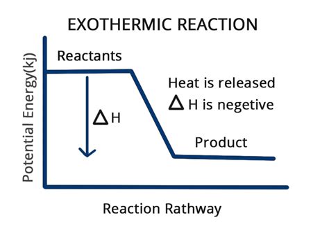 Is the Haber Process Endothermic or Exothermic