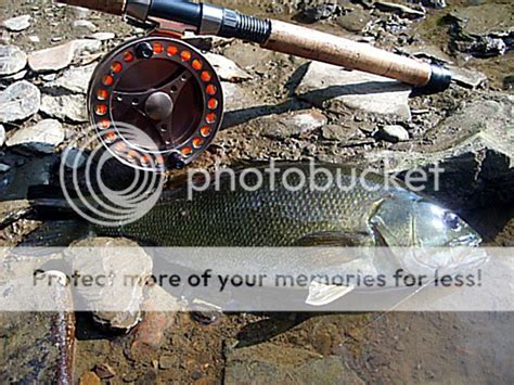 rocky river | Page 6 | Ohio Game Fishing