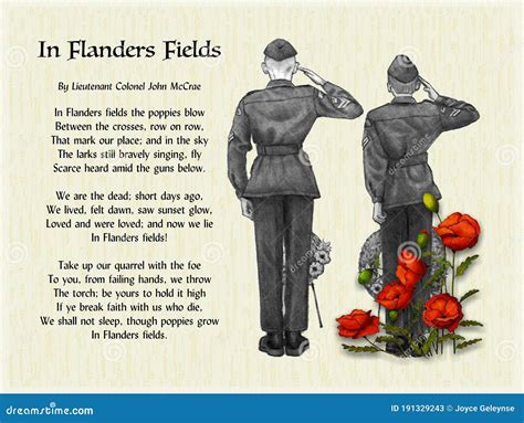 In Flanders Fields, Remembrance or Memorial Day with Cadets and Poppies ...