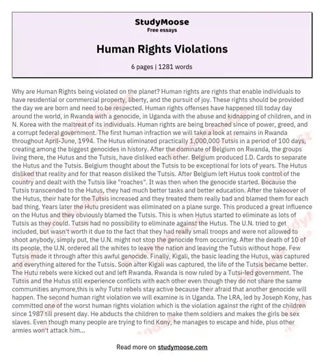 Human Rights Violations Free Essay Example