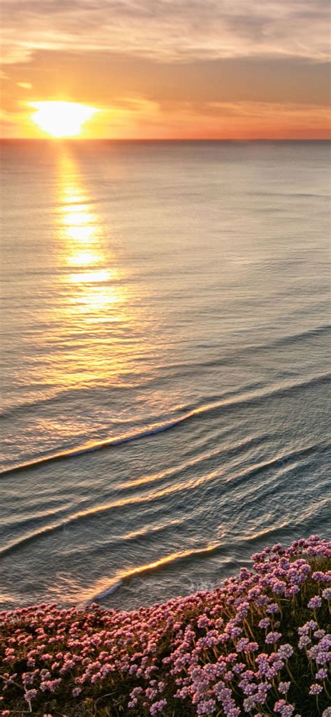 beautiful beach horizon iPhone 12 Wallpapers Free Download