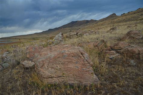 A school of fish: Antelope Island Field Trip, and A Very Gneiss Day