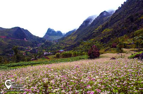 Thung lũng Sủng Là (Hà Giang) - Nơi đá cũng nở hoa