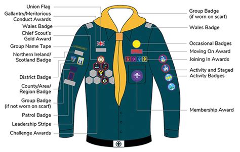 Scouts – Badges | Leire & Dunton Scout Group