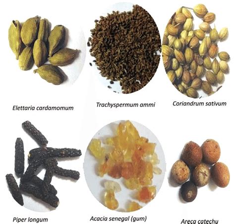 Photographs of some raw ethnomedicinal plant products. | Download Scientific Diagram