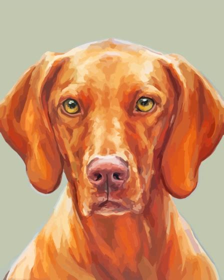 Vizsla Dog - Diamond Painting - DiamondPaint.PRO