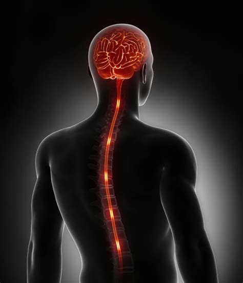 Spinal Cord Stimulation » Chalfont Pain Management | Delaware Valley Pain & Spine Institute