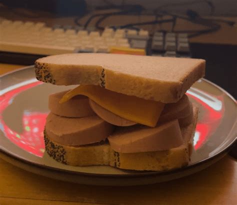 Bologna sandwich and the cheese : r/Sandwiches