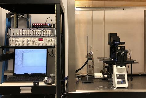 Ion Laboratory Instruments | NYU Langone Health