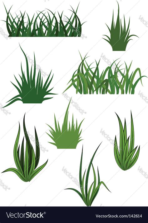 Grass patterns Royalty Free Vector Image - VectorStock