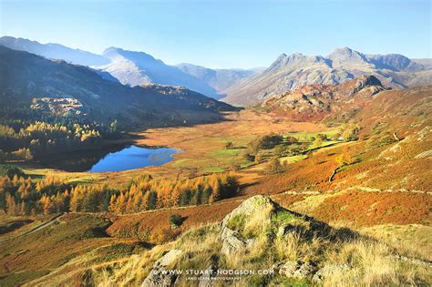 Stunning autumnal views & walks at Blea Tarn, Langdale, Lake District, UK. | The Hiking Photographer