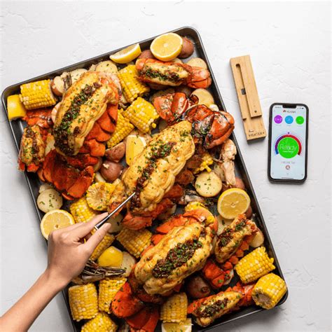 MEATER Plus With Bluetooth® Repeater | Smart Wireless Meat Thermometer – MEATER CA