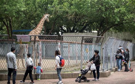 Hubei reopens over 60% of its major attractions - SHINE News