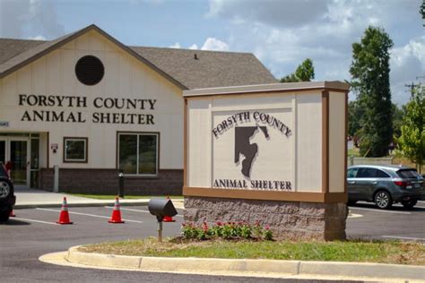 Forsyth County Animal Shelter Showcases Adoptable Animals | Cumming, GA ...