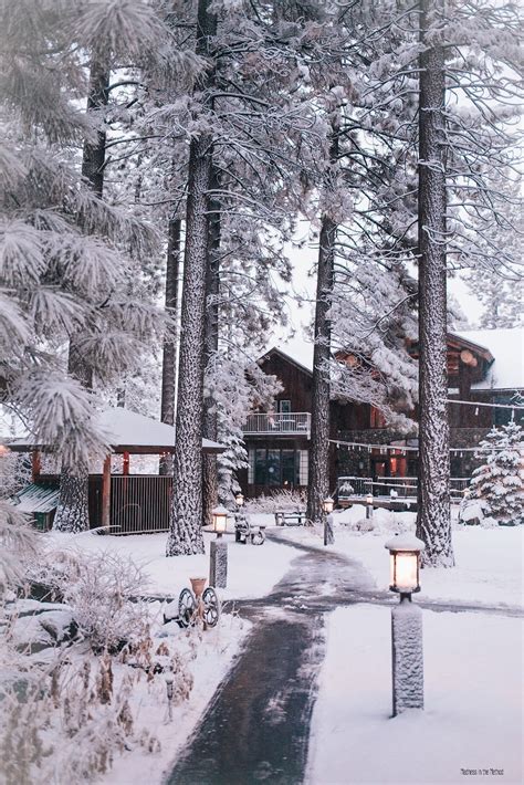 Snow | Winter scenery, Winter scenes, Tahoe trip