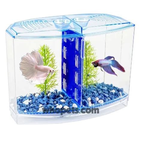 betta fish tank,betta house double,easy tank for small tropical fish,Plenn Plax Double Betta ...