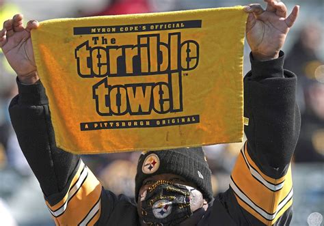 NFL Week 12: Steelers-Bengals chat transcript | Pittsburgh Post-Gazette