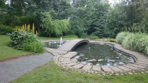 Akureyri botanical garden water pond bridge Iceland | Ijsland