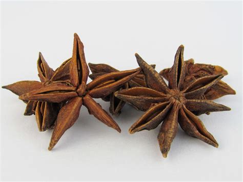 23 Excellent Star Anise Benefits