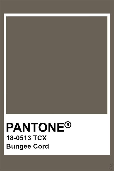 Pantone Bungee Cord | Fondo de colores lisos, Paletas de colores, Paleta de color